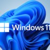 Microsoft Windows 11 Professional 32/64 bit